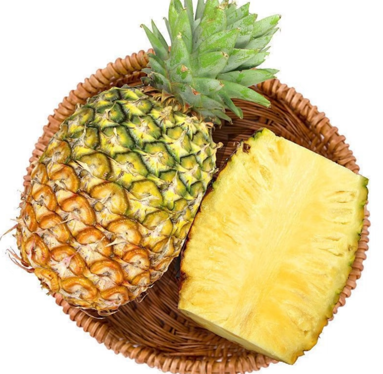 新真皮床气味处理消除