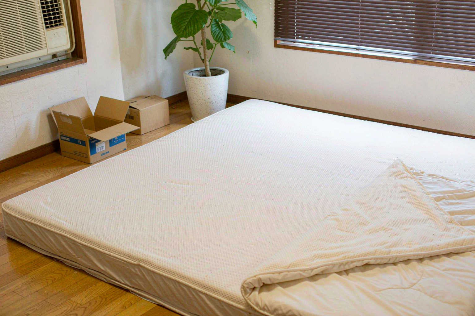 出租屋卧室实拍:床垫平放木地板,简单床品与绿植点缀
